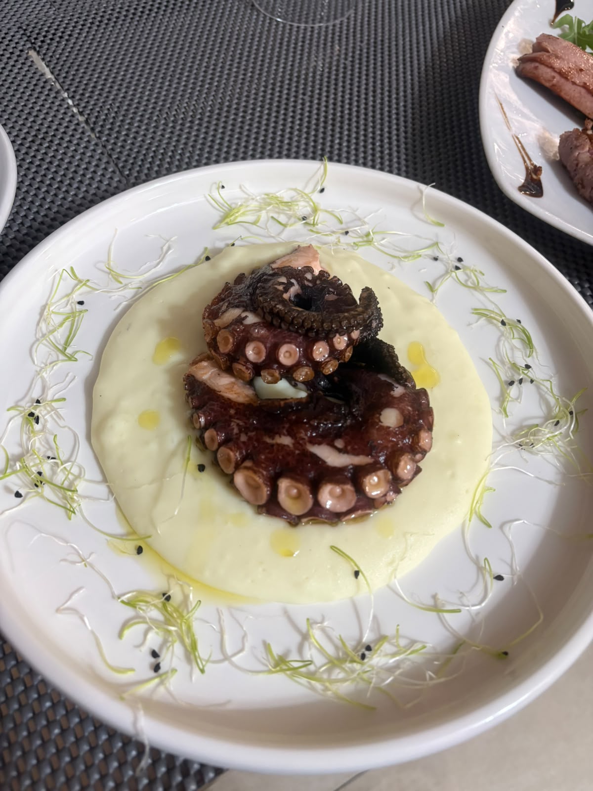 Polpo grigliato su crema di patate con germogli ed erbe